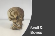 Scull and Bones