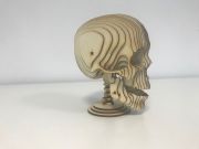 Scull and Bones Scull and Bones